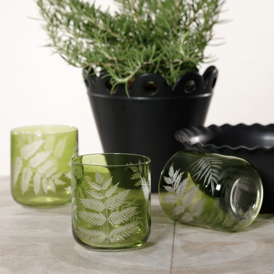 Olive Fern Etched Rocks Glasses Set of 6 - Image 3